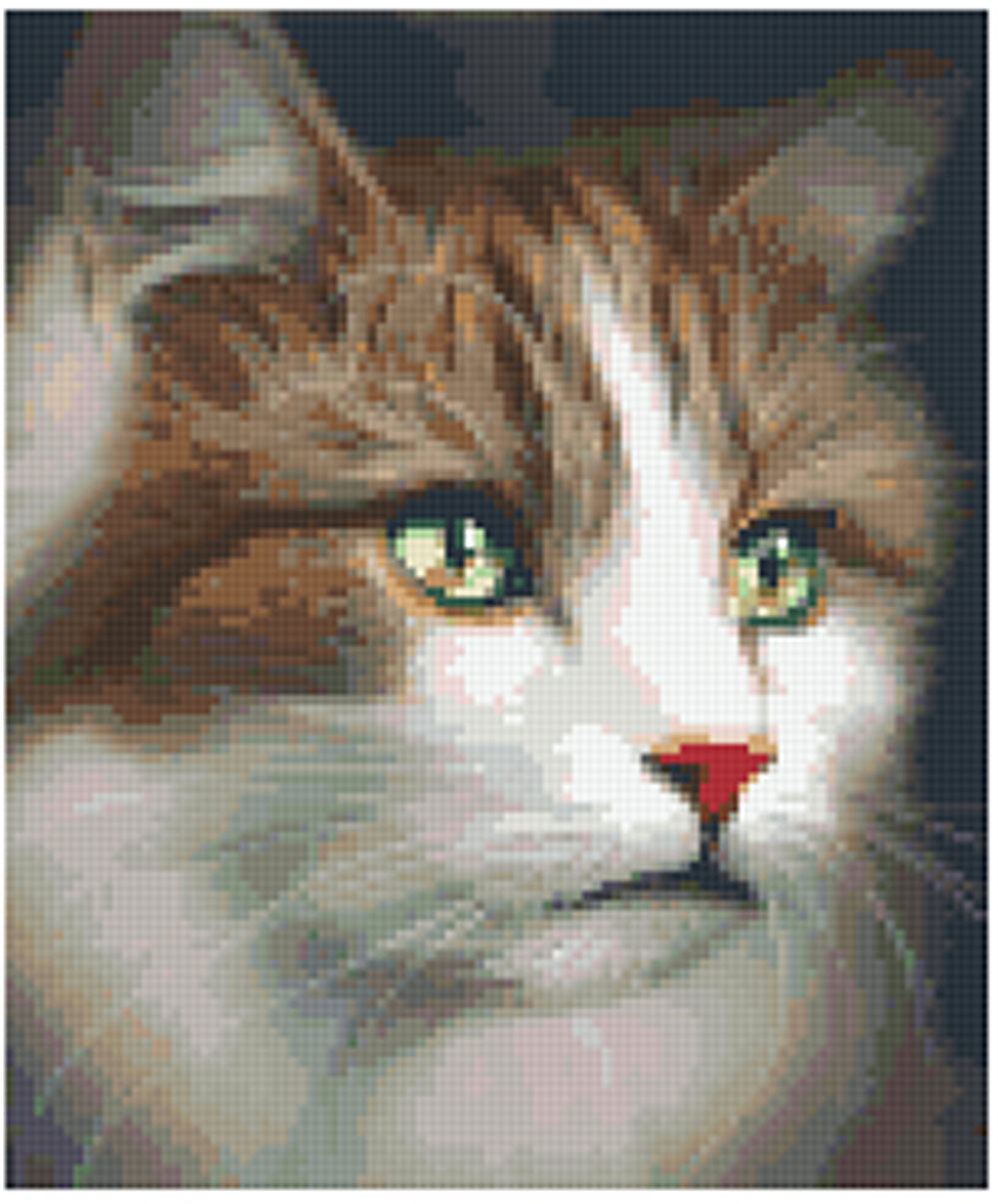 Pixelhobby Klassik Set - The Cat