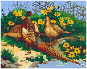 Pixel hobby classic template - pheasants