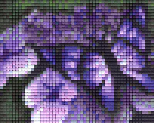 Pixel Klassik Set - Schmetterling C