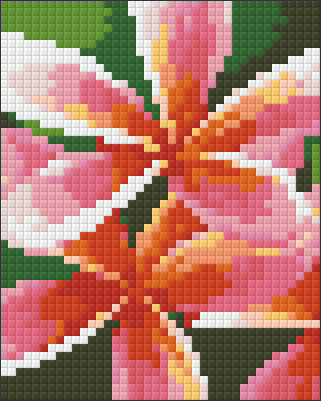 Pixelhobby Klassik Vorlage - Rose Frangipani