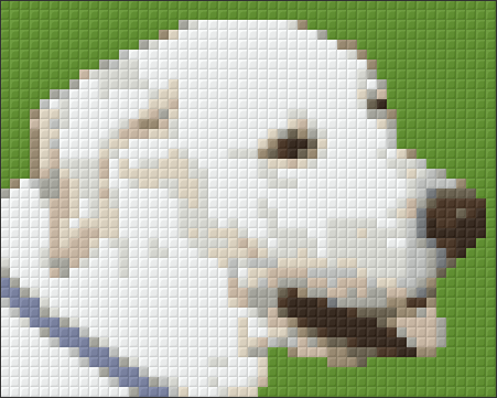 Pixel hobby classic template - dog Paco