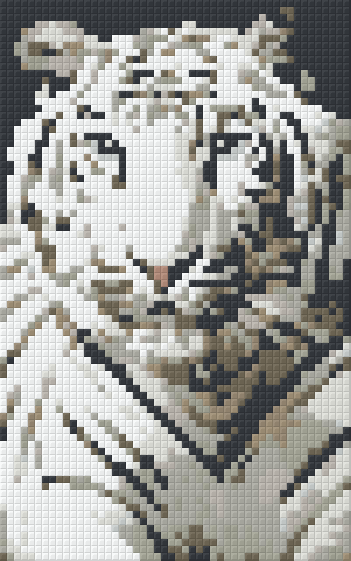 Pixelhobby Klassik Set - Weißer Tiger
