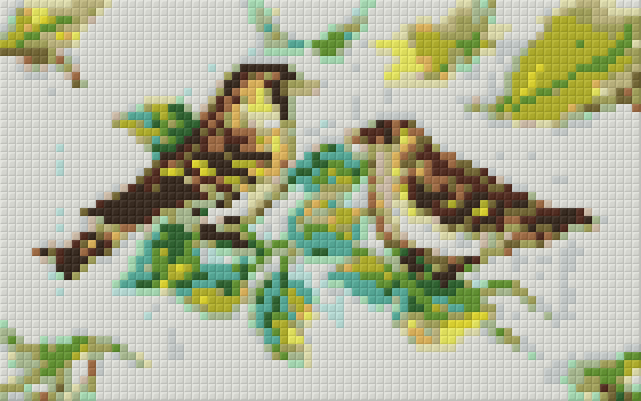 Pixel hobby classic set - birds