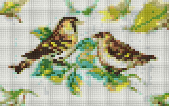 Pixelhobby Klassik Vorlage - Vögel