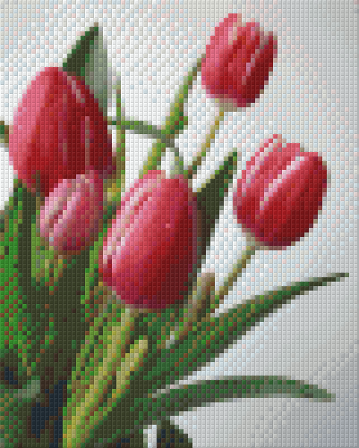 Pixelhobby Klassik Set - Rosarote Tulpen
