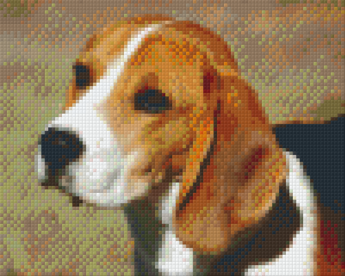 Pixel hobby classic template - American Foxhond