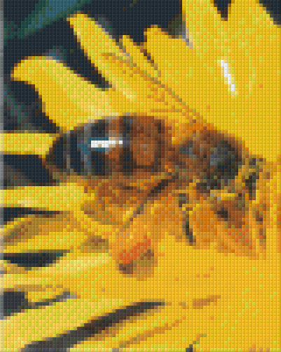 Pixelhobby Klassik Vorlage - Honigbiene