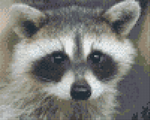 Pixel hobby classic template - raccoon