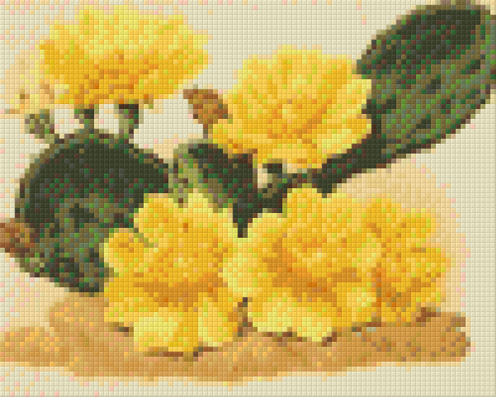 Pixel hobby classic template - cactus with yellow flowers