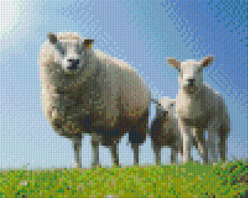 Pixel hobby classic set - sheep family