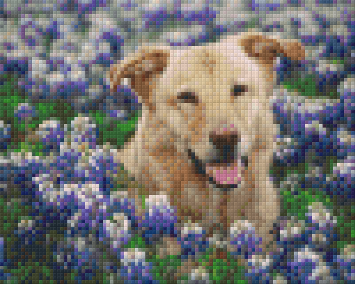 Pixel hobby classic template - dog in the meadow