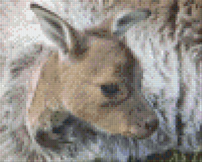 Pixel hobby classic template - kangaroo baby