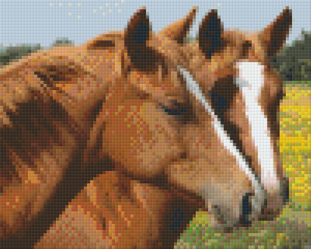 Pixelhobby Klassik Vorlage - Pferde