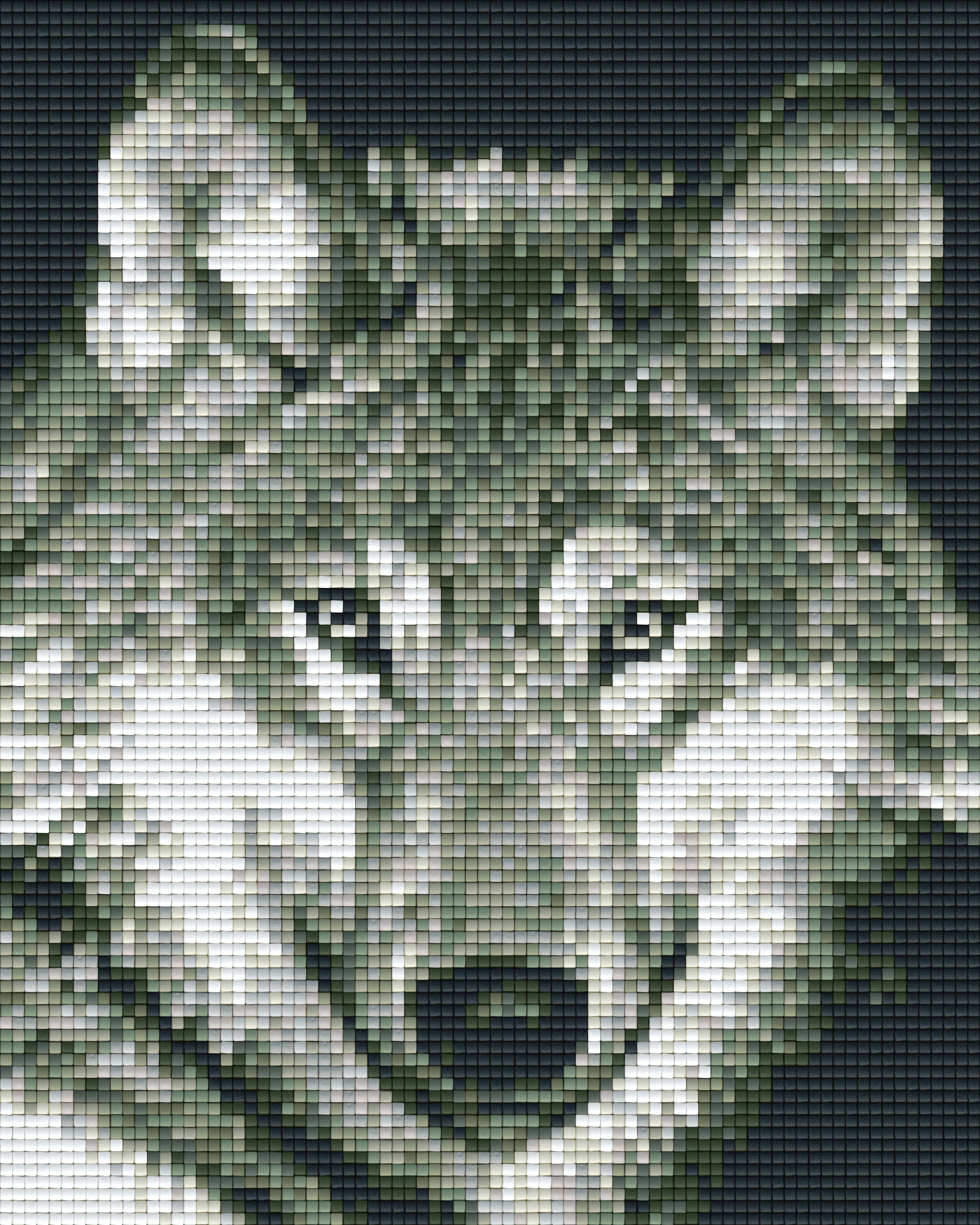 Pixelhobby Klassik Set - Wolf aus der Nähe
