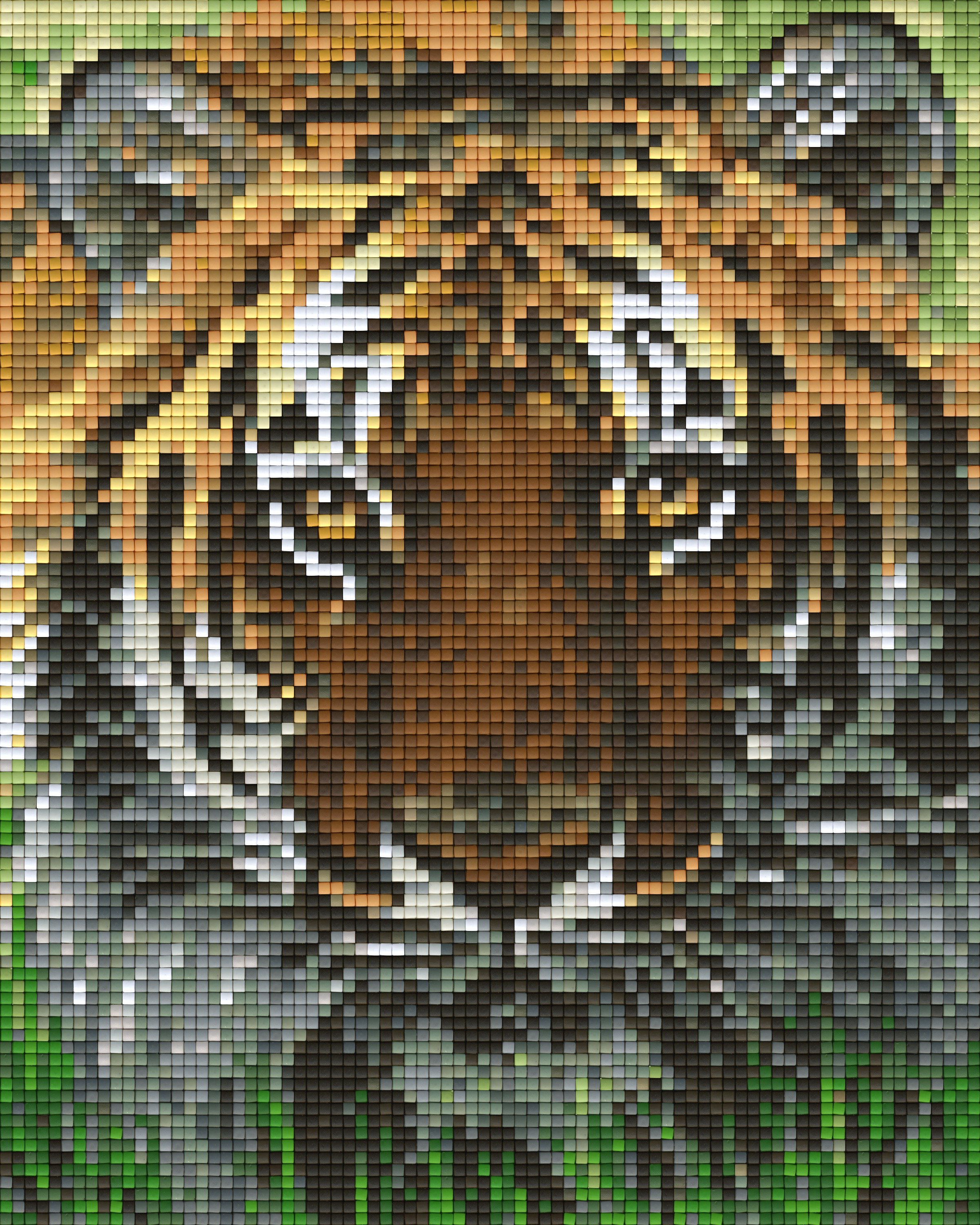 Pixelhobby Klassik Set - Bengalischer Tiger
