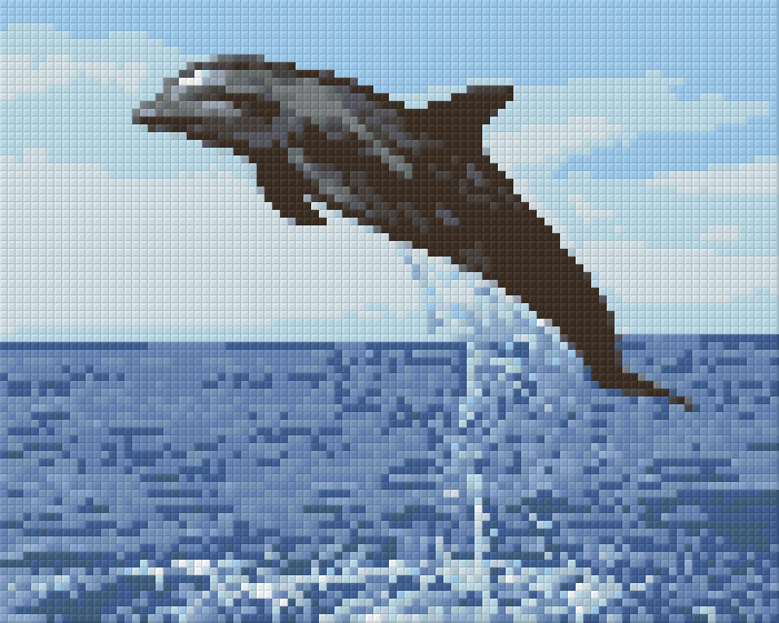 Pixel hobby classic template - dolphin