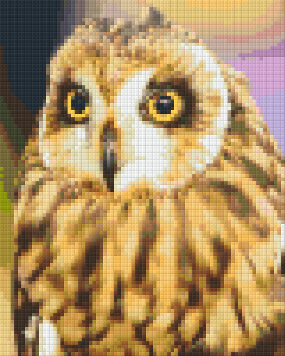 Pixel hobby classic template - owl chick