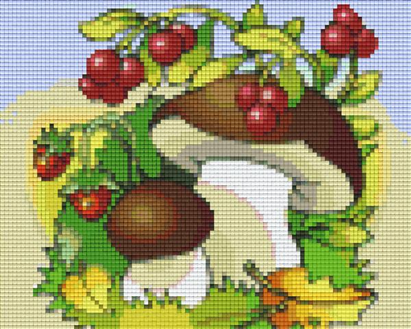 Pixel hobby classic template - wild fruits