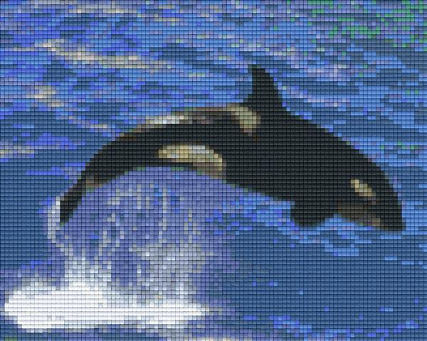 Pixel hobby classic template - killer whale