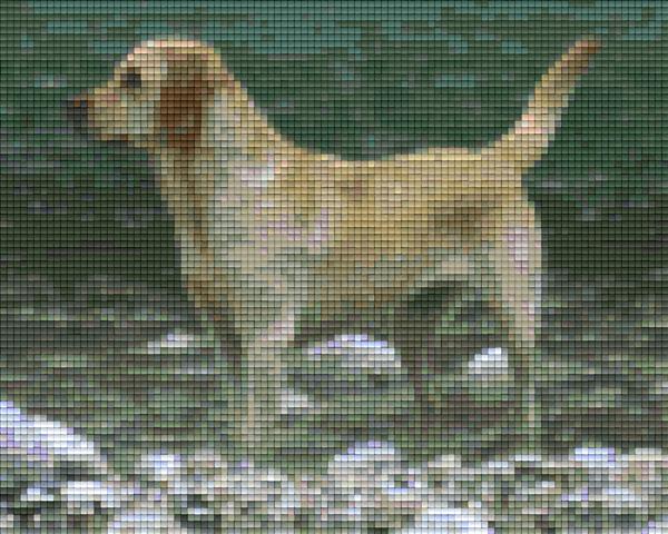Pixel hobby classic template - labrador on the beach