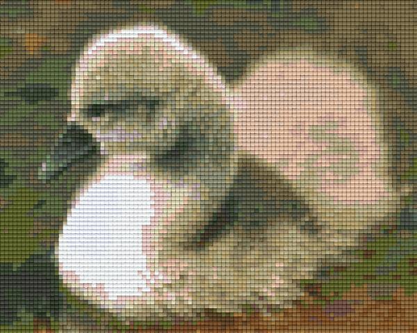 Pixel hobby classic template - swan chicks