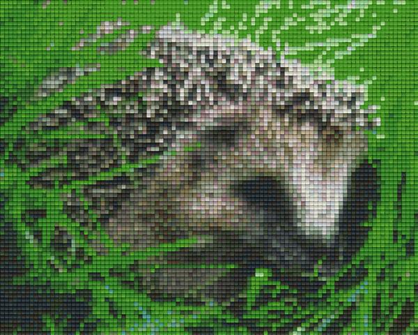 Pixel hobby classic template - hedgehog