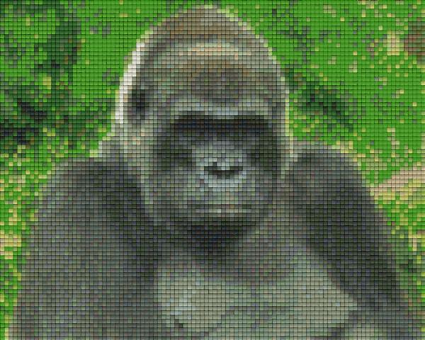 Pixelhobby Klassik Vorlage - Gorilla