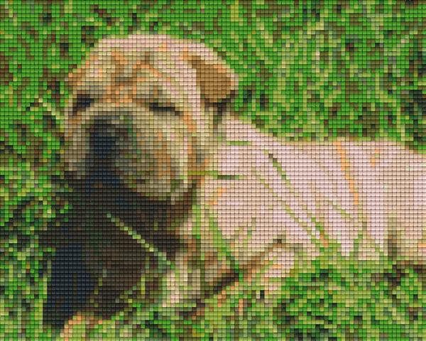 Pixelhobby Klassik Vorlage - Englische Bulldogge