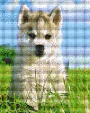 Pixel hobby classic template - husky puppy