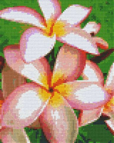 Pixel hobby classic template - pink frangipani