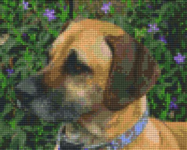 Pixel hobby classic template - dog Kenya
