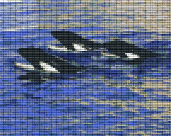 Pixelhobby Klassik Vorlage - Killerwale