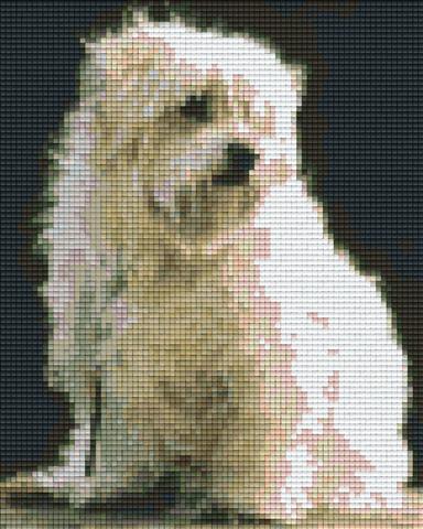 Pixelhobby Klassik Vorlage - Malteser Terrier