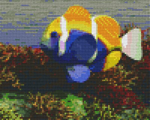 Pixel hobby classic template - fish with coral