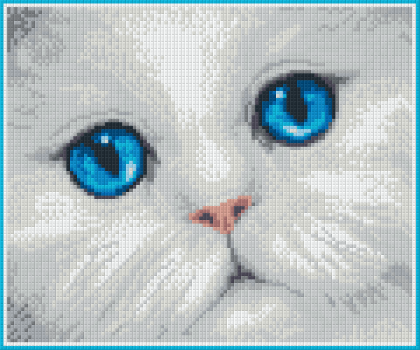 Pixelhobby Klassik Vorlage - blauäugige Katze