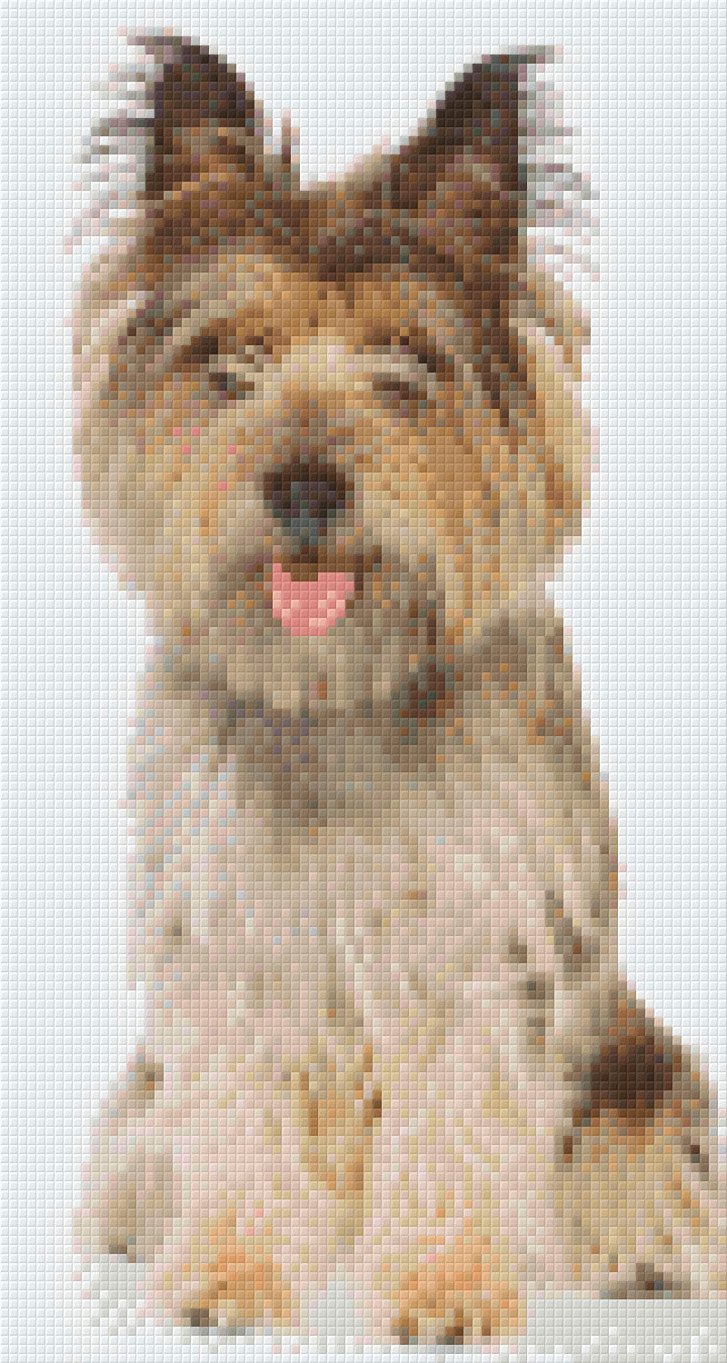 Pixelhobby Klassik Set - Yorkshire Terrier