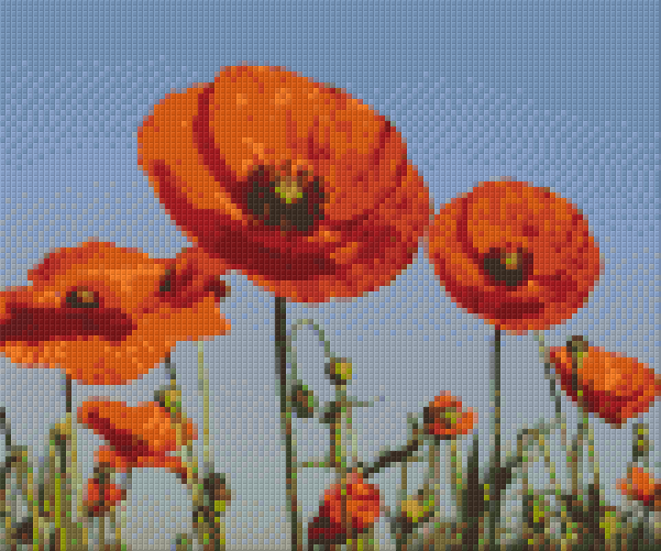 Pixel hobby classic template - field with poppies