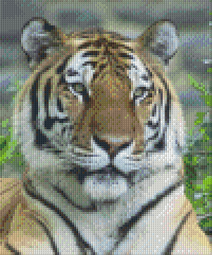 Pixel hobby classic template - tiger head