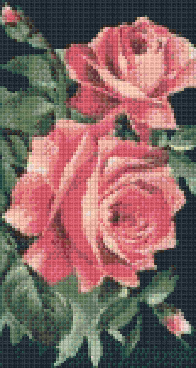 Pixel hobby classic set - roses