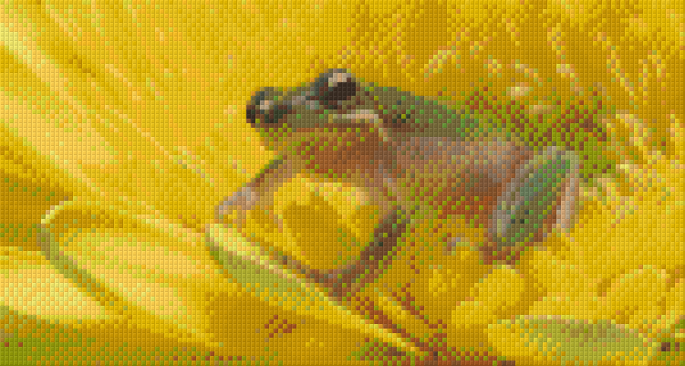 Pixel hobby classic set - frog