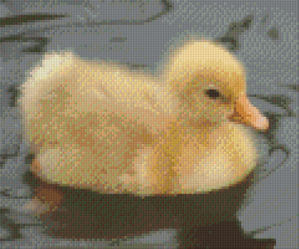 Pixel hobby classic template - duckling