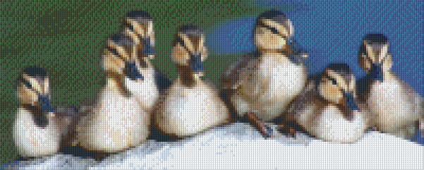 Pixelhobby Classic Template - All ducklings in a row