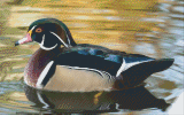 Pixel hobby classic template - duck