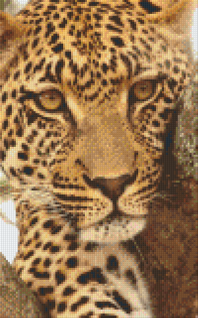 Pixel Hobby Classic Template - Puma
