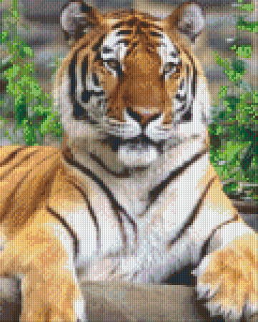 Pixel hobby classic template - tiger
