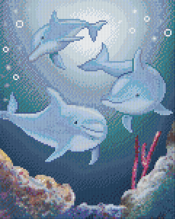 Pixel hobby classic template - 3 dolphins