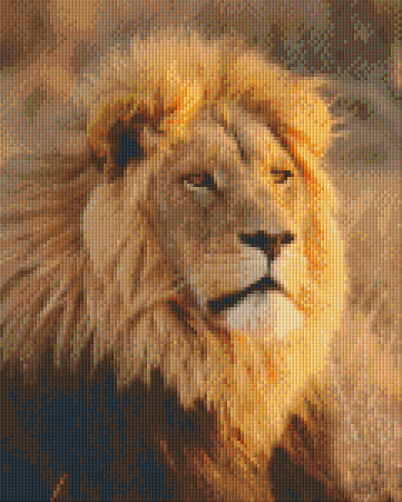 Pixelhobby Klassik Vorlage - Afrikanischer Löwe