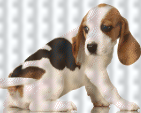 Pixelhobby Klassik Vorlage - Beagle