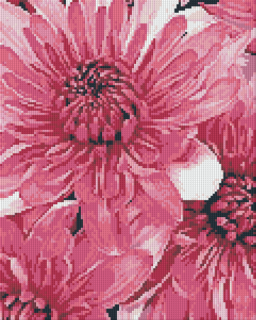 Pixelhobby Classic Set - Chrysanthemums