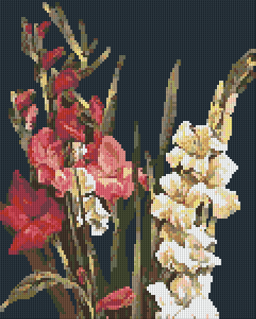 Pixelhobby Klassik Vorlage - Gladiolen